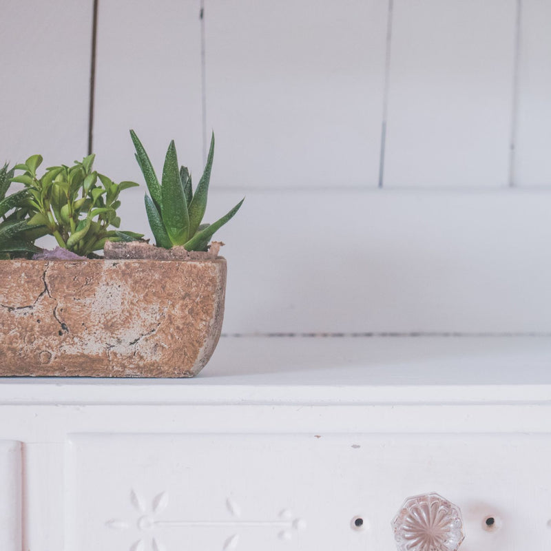 Torn Stencil Plant Pot