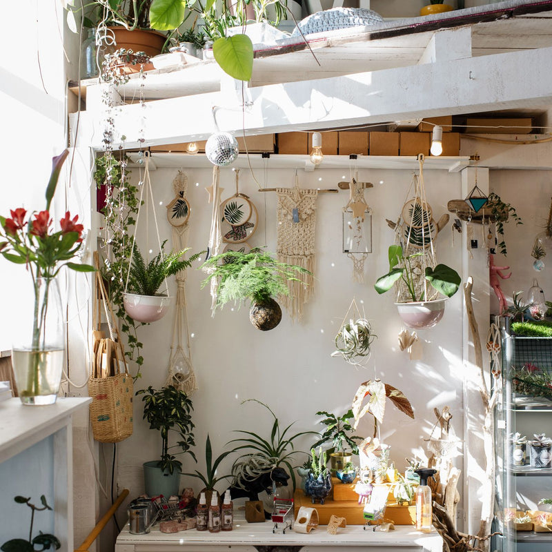Squiggle Hanging Planter