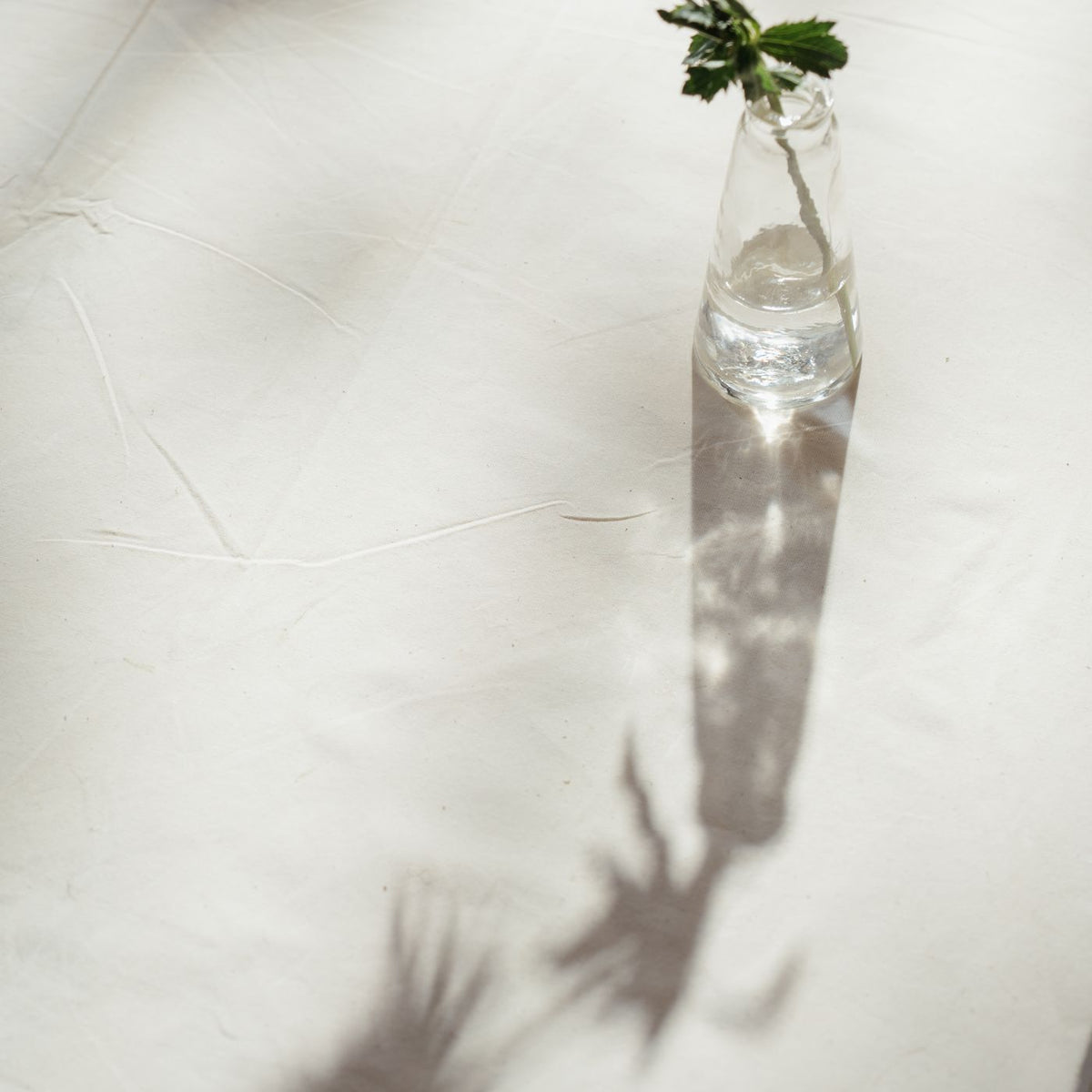 Windowsill Herb Planter